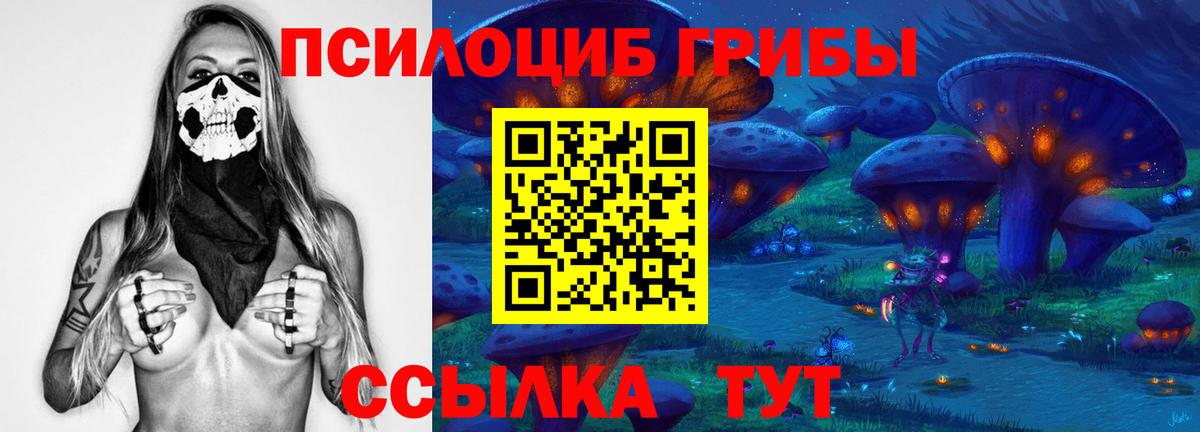Реж  Псилоцибиновые грибы Magic Shrooms  Вход с VPN  Псилоцибиновые грибы мухоморы 